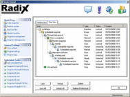 Radix Reload screenshot